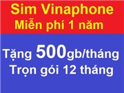 Sim Vinaphone U1500