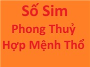 Sim hợp mệnh Thổ