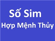 Sim hợp mệnh Thủy