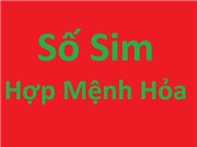 Sim hợp mệnh Hỏa 