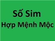 Sim hợp mệnh Mộc