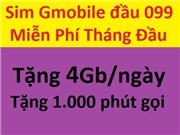 Sim Gmobile