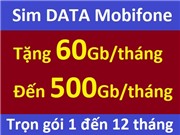 Sim DATA Mobile
