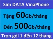 Sim DATA Vinaphone
