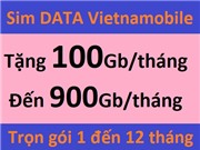 Sim data Vietnamobile