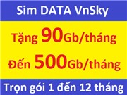 Sim DATA vnsky
